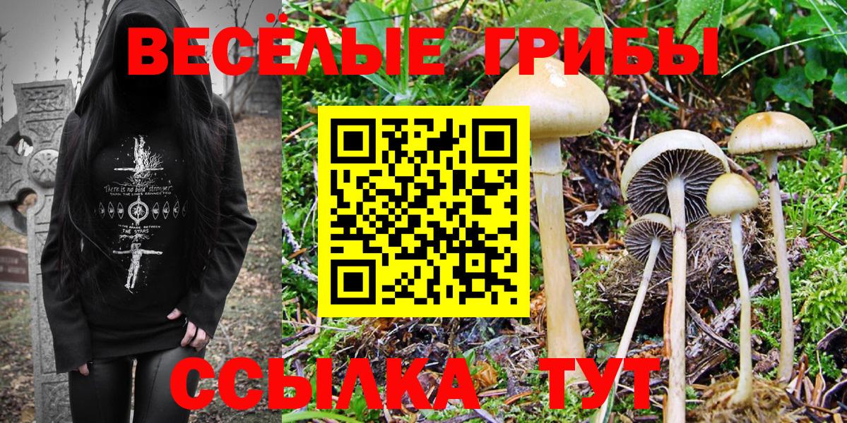 Алушта  Псилоцибиновые грибы Magic Shrooms  наркотики  Вход с VPN 
